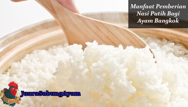 Manfaat nasi putih