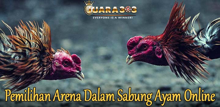 Pemilihan Arena Dalam Sabung Ayam Online