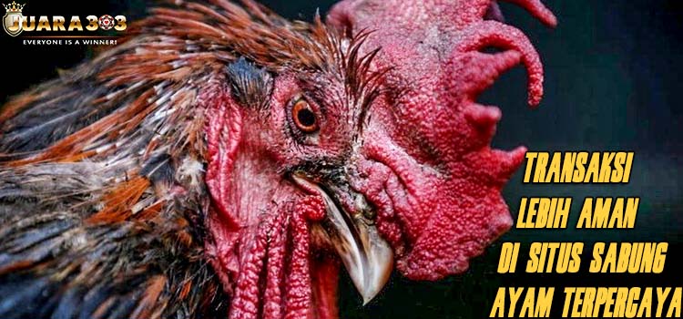 Transaksi Lebih Aman Di Situs Sabung Ayam Terpercaya